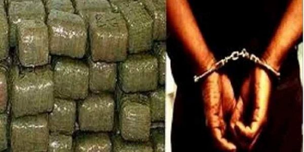 بھارت کی سرحد سے ملحقہ سنساری میں 440 کلو گرام گانجہ اور بھارتی کرنسی برآمد، تین افراد گرفتار
