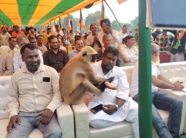 Hanuman entry at Ghatsila by-election meeting- people termed it blessings