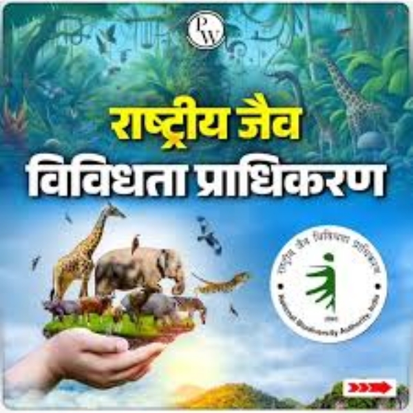 NBA releases Rs 55 lakh to red sandalwood farmers in Tamil Nadu NBA releases Rs 55 lakh to red sandalwood farmers in Tamil Nadu