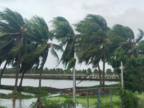 مونتھا مونتھا