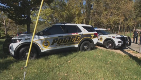 Indian-origin businessman shot dead in US