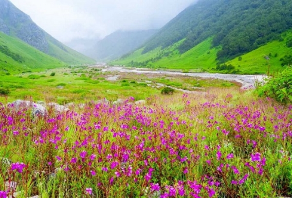 Uttarakhand famous Valley of Flowers closed for tourists