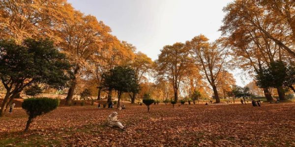 رات کے درجہ حرارت میں کمی، سرینگر میں سیزن کی سرد ترین رات ،منفی 2.4 ڈگری سیلسیس ریکارڈ