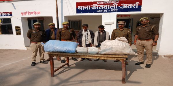 گانجہ کی غیر قانونی کاشت پکڑی گئی، دو ملزمان گرفتار