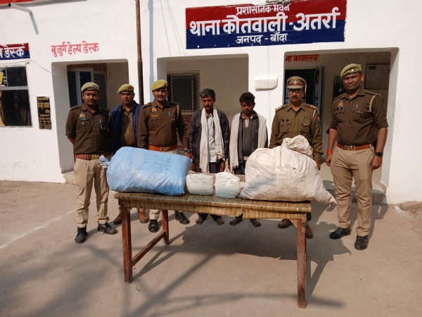 گانجہ کی غیر قانونی کاشت پکڑی گئی، دو ملزمان گرفتار گانجہ کی غیر قانونی کاشت پکڑی گئی، دو ملزمان گرفتار