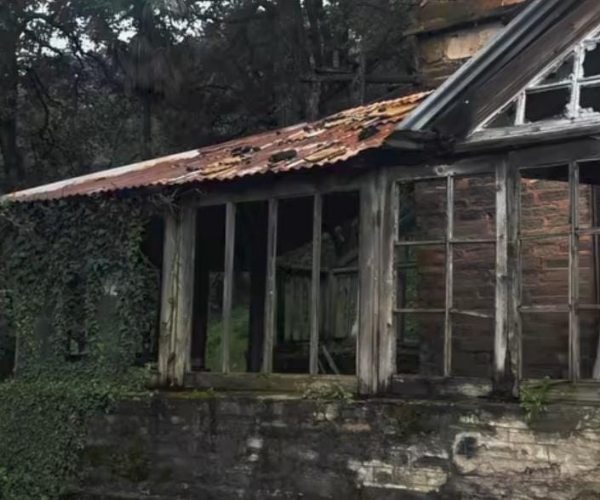 شملہ: نوجوان کی لاوارث عمارت سے لٹکی ہوئی لاش ملی، پولیس تحقیقات میں مصروف