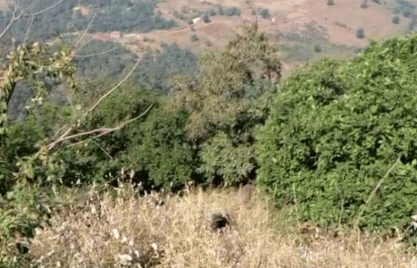 JEEP  PLUNGES 500 FEET IN TAMHINI GHAT, FOUR FOUND DEAD, TWO MISSING