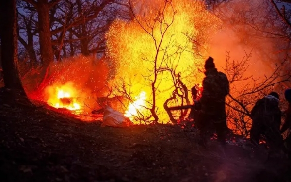 ایران میں جنگل میں پھیلی آگ پر قابو پانے کی کوشش جاری