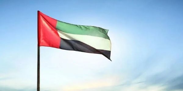 اماراتی پرچم کی توہین کرنے پر ہوگی 25 سال کی جیل ، حکام کی تنبیہ