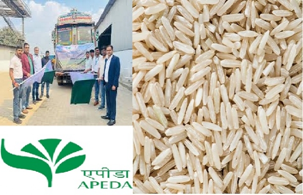 India sends fortified rice kernels from Chhattisgarh to Costa Rica India sends fortified rice kernels from Chhattisgarh to Costa Rica