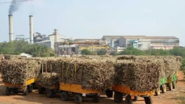21 sugar mills in state started sugarcane crushing