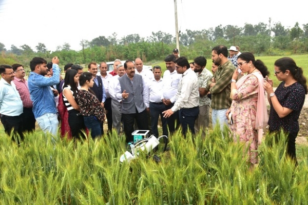 Now, special varieties of Jammu Basmati produced in NW states Now, special varieties of Jammu Basmati produced in NW states