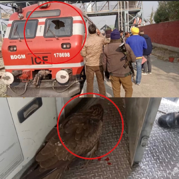 تصویر تصویر