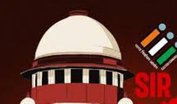 بی ایل اوز نے مرادآباد اسمبلی انتخابات کے لیے اسپیشل انٹینسیو ریویژن (ایس آئی آر) کے لیے 4,900 ووٹروں میں گنتی کے فارم تقسیم کیے بی ایل اوز نے مرادآباد اسمبلی انتخابات کے لیے اسپیشل انٹینسیو ریویژن (ایس آئی آر) کے لیے 4,900 ووٹروں میں گنتی کے فارم تقسیم کیے