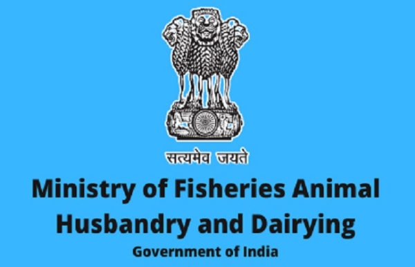 مرکزی حکومت نے گہرے سمندر میں ماہی گیری کے لیے جاری کیے نئے اصول مرکزی حکومت نے گہرے سمندر میں ماہی گیری کے لیے جاری کیے نئے اصول