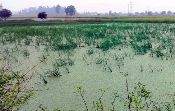 Hisar: Farmers will seek permission from CM to commit suicide Hisar: Farmers will seek permission from CM to commit suicide