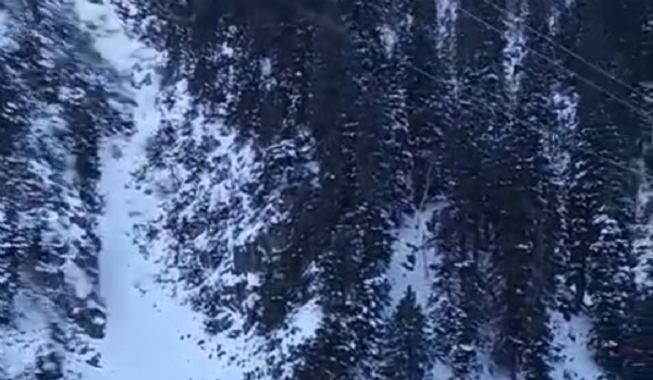 تصویر تصویر