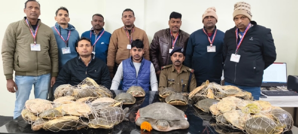 آر پی ایف کا آپریشن ’ویلپ‘: نیتا جی ایکسپریس کے جنرل کوچ سے 76 زندہ کچھوے ملے آر پی ایف کا آپریشن ’ویلپ‘: نیتا جی ایکسپریس کے جنرل کوچ سے 76 زندہ کچھوے ملے