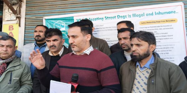 ڈوڈہ میں آوارہ کتوں سے نمٹنے کے لیے بیداری پروگرام منعقد