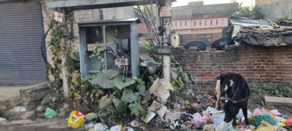 تصویر تصویر