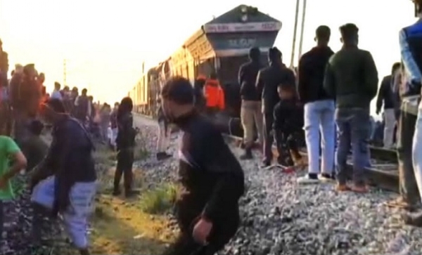 Seven-elephant-killed-by-train-hit