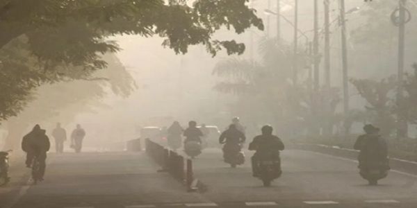 مدھیہ پردیش میں ٹھنڈ کے درمیان شمالی حصے میں گھنا کوہرا چھایا ، 20 اضلاع میں زیادہ اثر، پارہ گرا