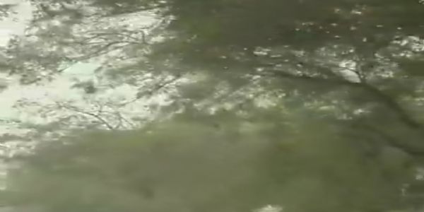 اتر پردیش کا نوئیڈا مسلسل تیسرے دن ملک کا سب سے آلودہ شہر رہا