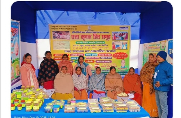 راجگیر مہوتسو میں تیسی کا لڈو بنا توجہ کا مرکز راجگیر مہوتسو میں تیسی کا لڈو بنا توجہ کا مرکز