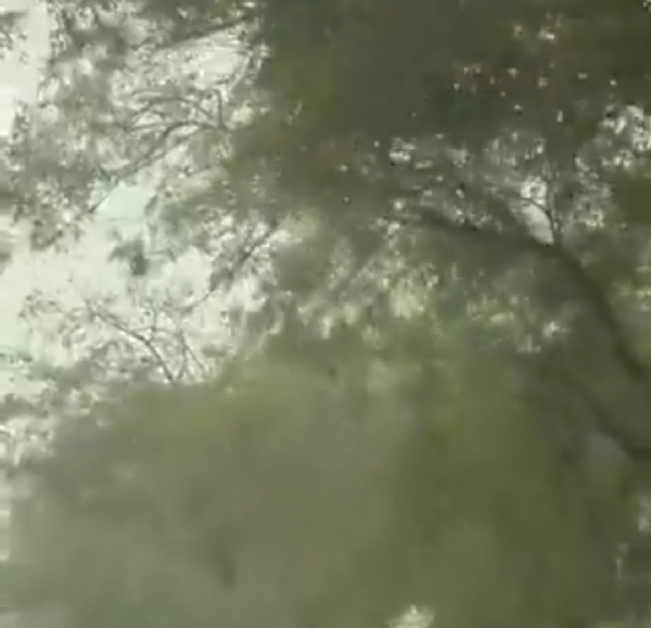 اتر پردیش کا نوئیڈا مسلسل تیسرے دن ملک کا سب سے آلودہ شہر رہا