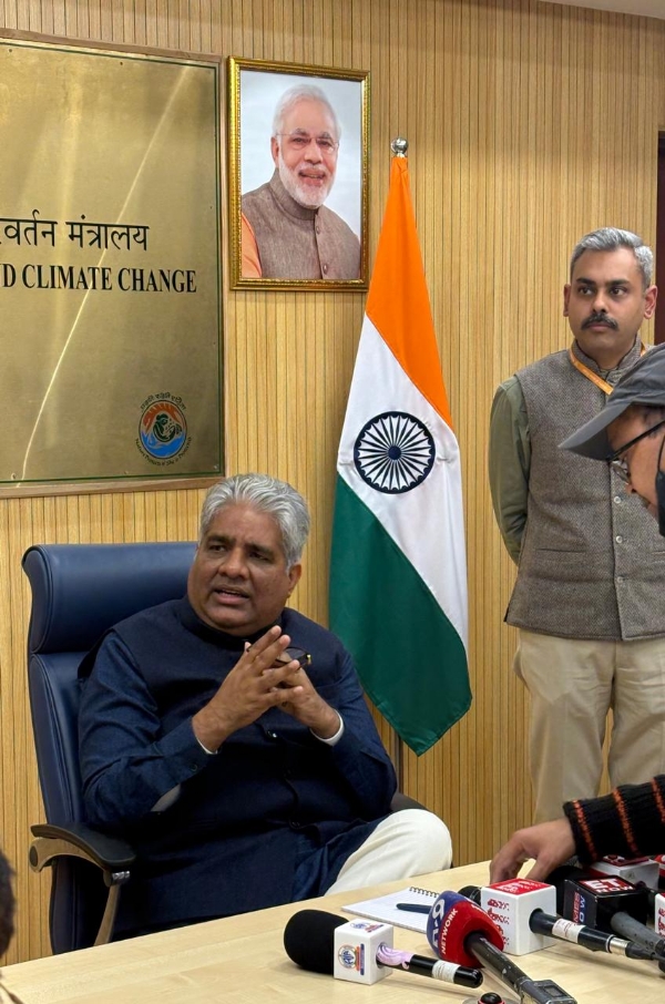 اراولی اراولی