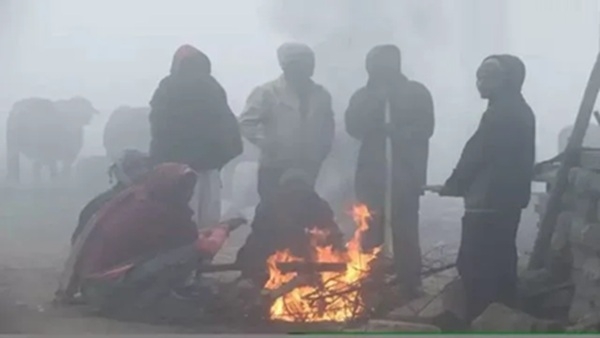 Madhya-Pradesh-Weather-Fog-Cold-Day-alert