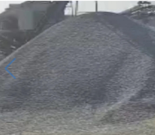 پی ایل ایف آئی