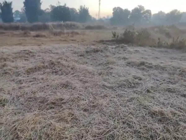 شمالی چھتیس گڑھ میں سردی کی لہر، سرگوجا کے میدانی علاقوں میں درجہ حرارت صفر کے قریب
