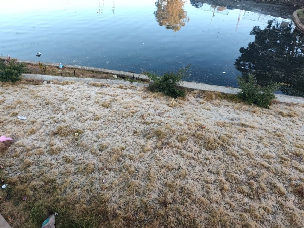 انوپ پور: سردی میں شدت، برف کی سفید چادر میں لپٹا امرکنٹک