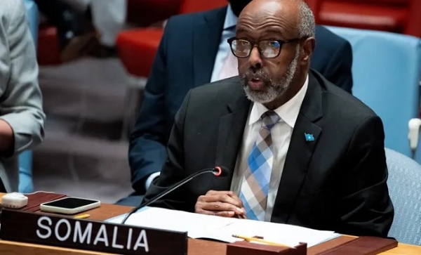 سلامتی کونسل میں صومالیہ نے اسرائیلی اقدام کو اشتعال انگیز قرار دیا سلامتی کونسل میں صومالیہ نے اسرائیلی اقدام کو اشتعال انگیز قرار دیا