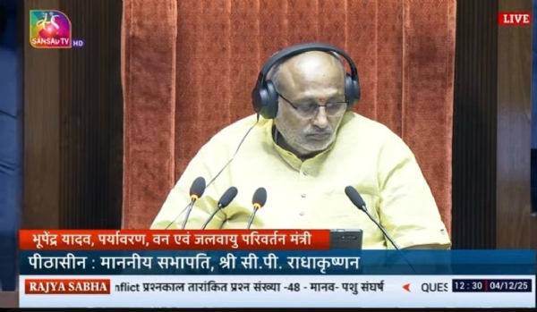 قاعدہ قاعدہ