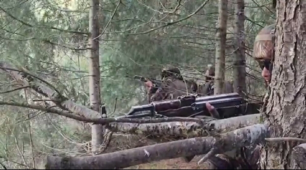 تصویر تصویر