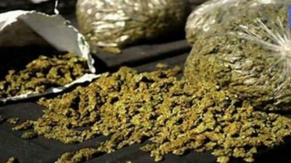 17 lakh worth of ganja seized in Pune