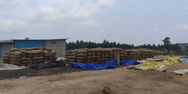 تلنگانہ کے نظام آباد میں دھان کی خریداری میں تاخیر، کسانوں کو شدید مشکلات درپیش