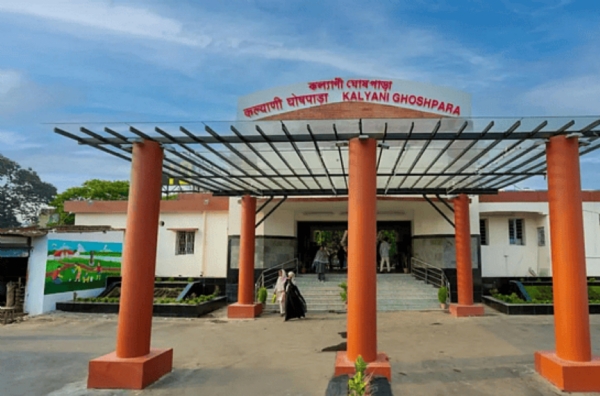 ریل