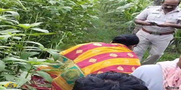 جوٹ کے کھیت میں خاتون کی خون آلود لاش ملنے سے علاقہ میں سنسنی