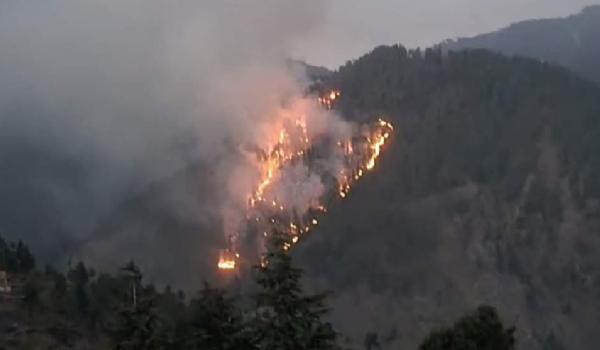 Forest fire