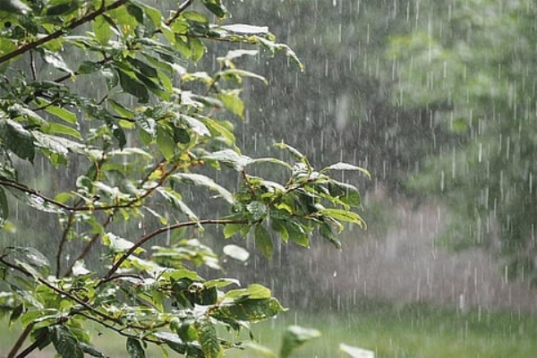 Jharkhand: 92% more rain than normal, highest rain in Ranchi