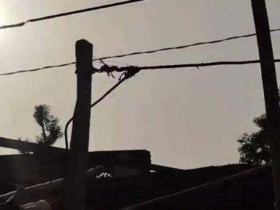 کرنٹ لگنے سے خاتون، بیٹی اور داماد جاں بحق، دوسری بیٹی شدید جھلس گئی