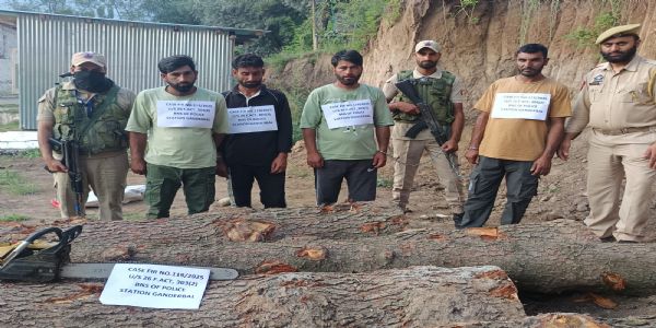 گاندربل پولیس نے گٹلی باغ کے بالائی علاقوں میں ناجائز لکڑی ضبط کی ، 04 ملزمان گرفتار