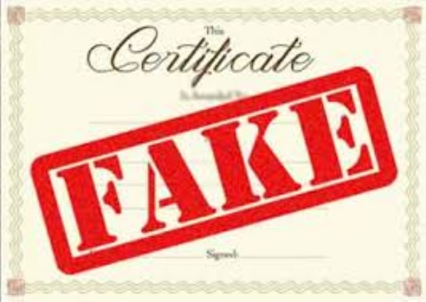 Fake