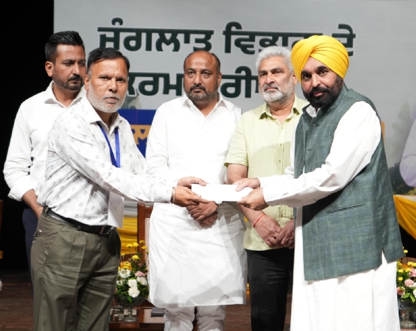 942 contract Forest employees permanent in Punjab