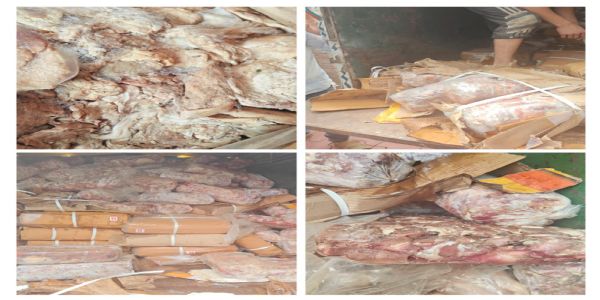 محکمہ فوڈ سیفٹی نے سرینگر میں 1200 کلو خراب گوشت ضبط کرکے ضائع کیا