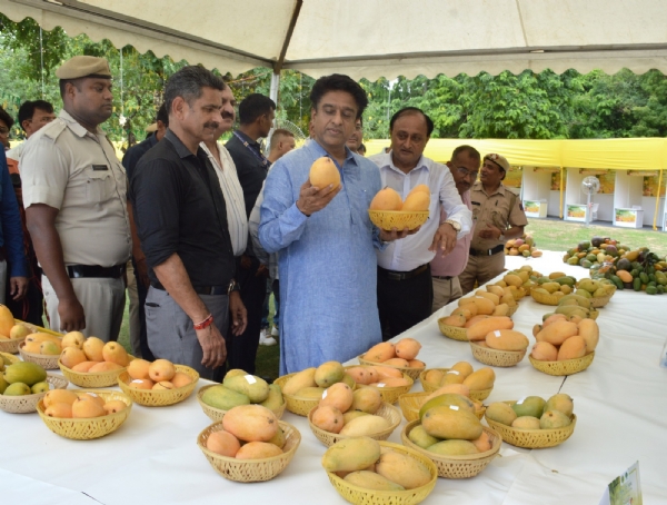 آپریشن سندور کی یاد میں آم کی ایک خاص قسم اگائی جائے گی: کلجیت سنگھ چہل