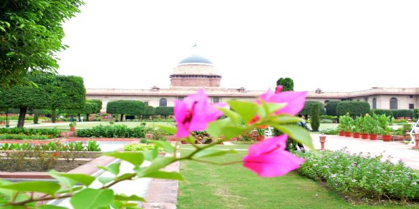 صدرجمہوریہ جمعرات کو کریں گی امرت ادیان کے موسم گرما کے سالانہ میلے کا افتتاح کریںگی